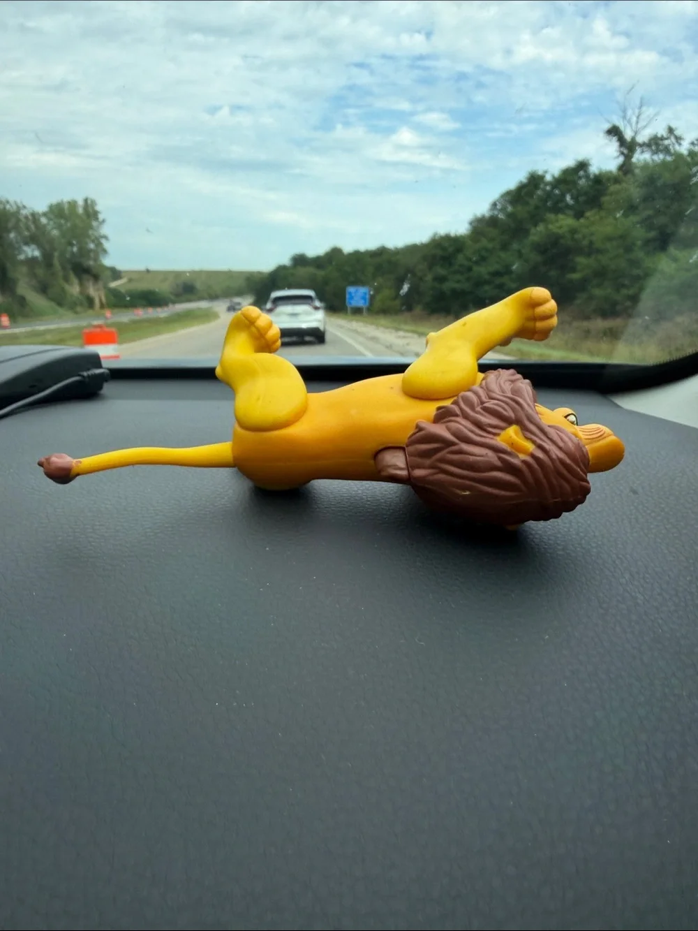 N/A disney lion